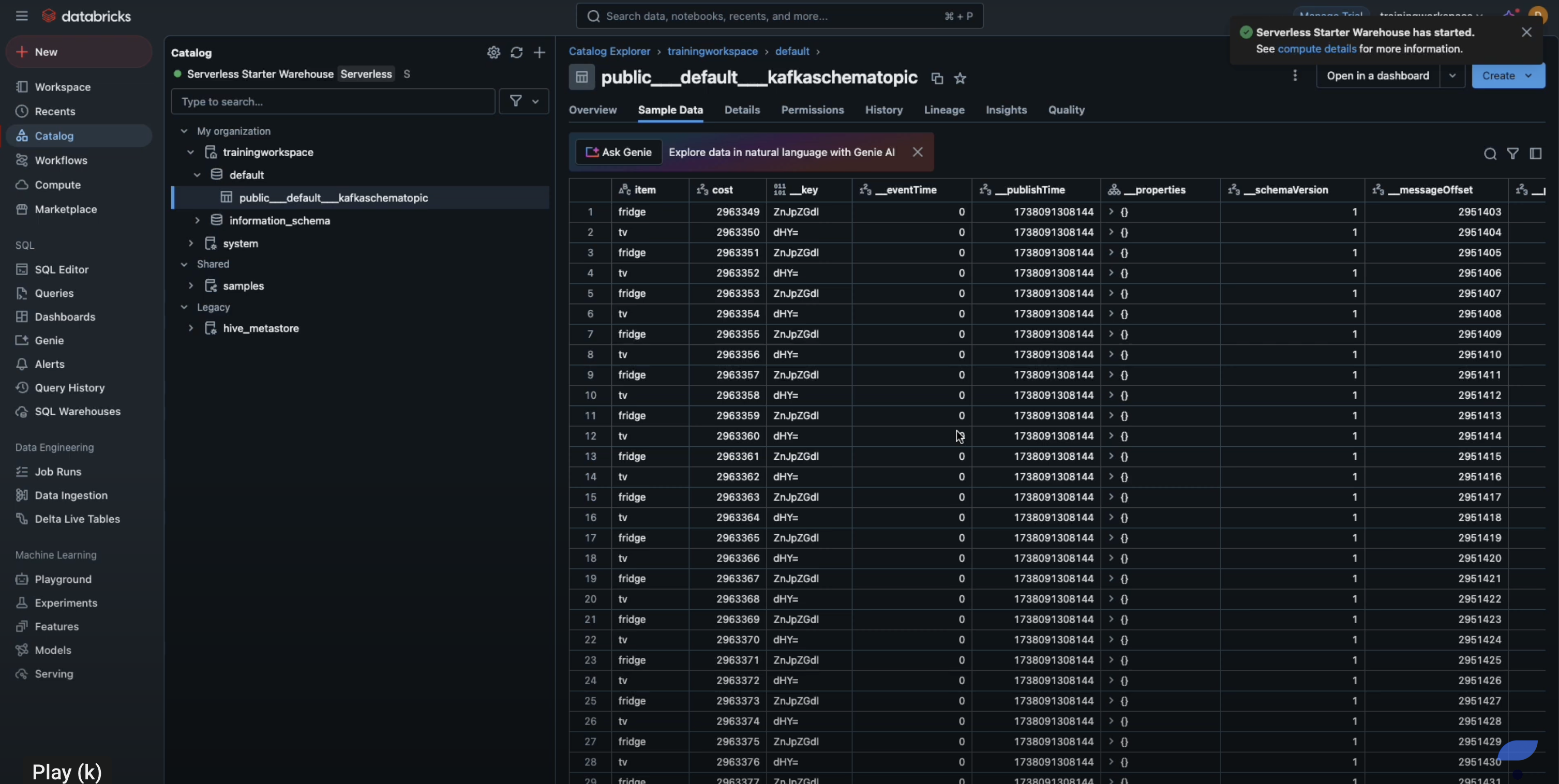 View ingested data in catalog