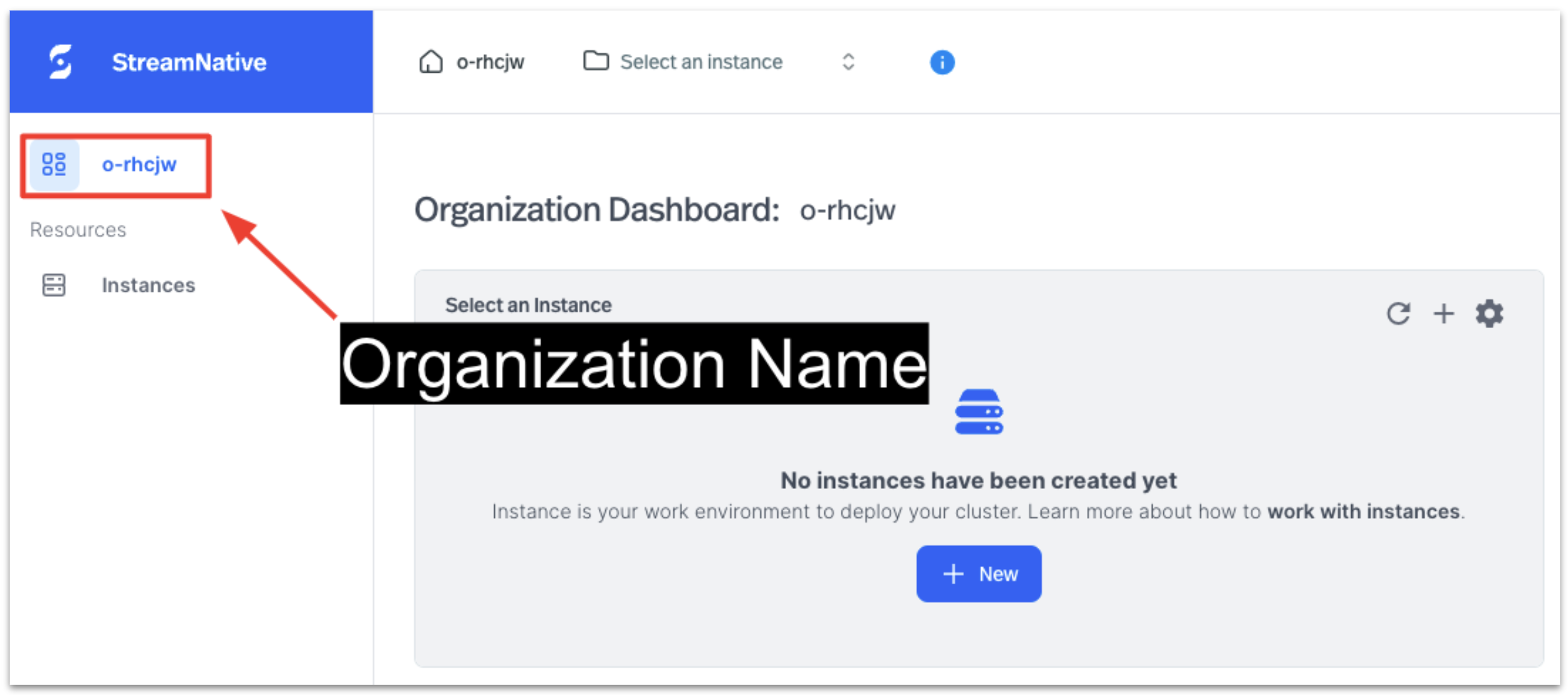 Organization name