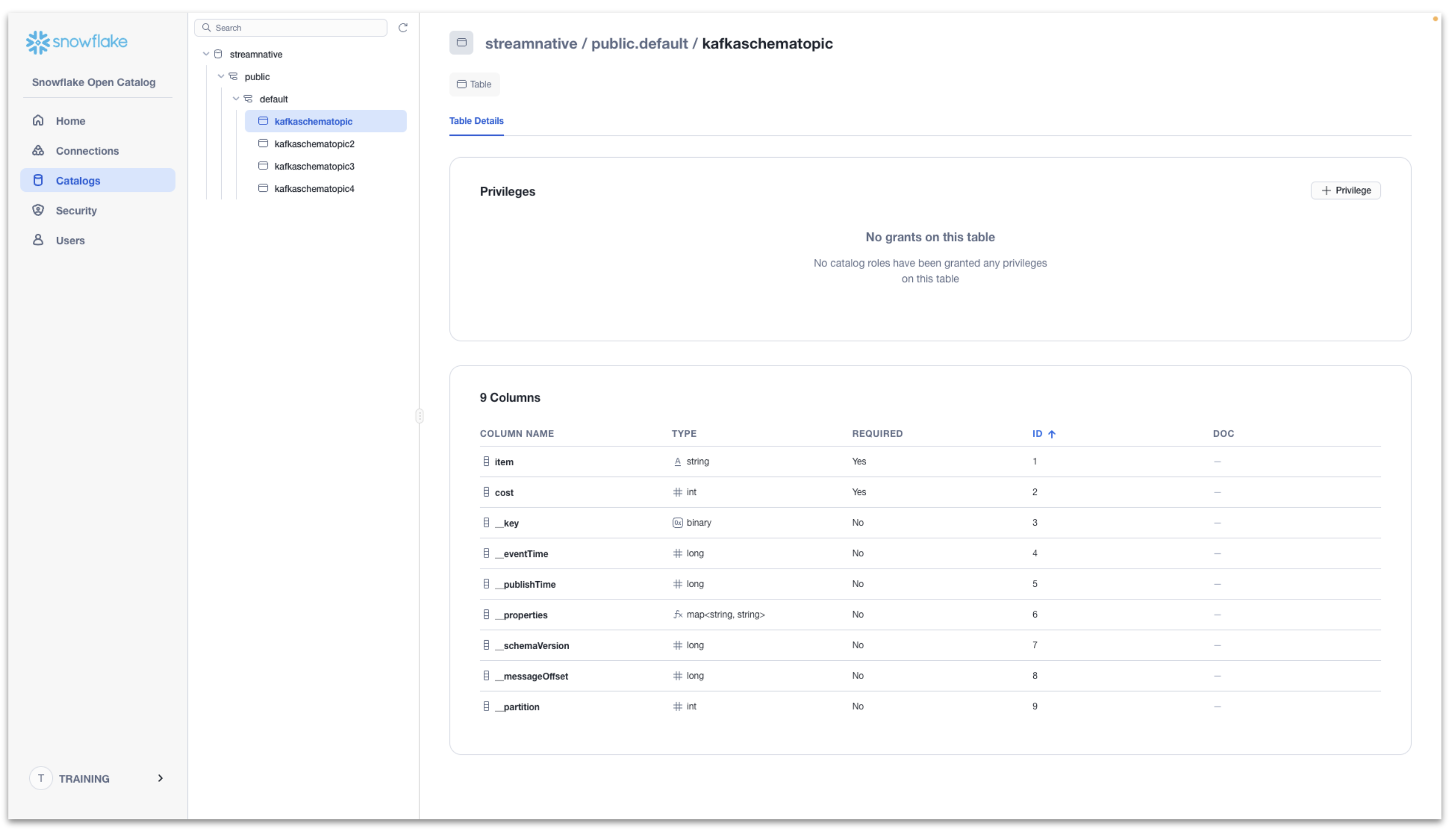 Verify tables and schemas